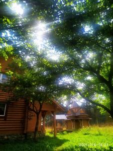 Говерлянка