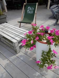 Old Tree Home Restaurant