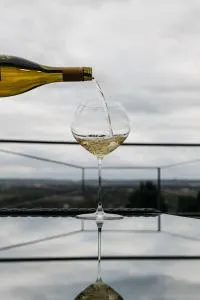 Bellevue appartementen - 辛佩尔费尔德