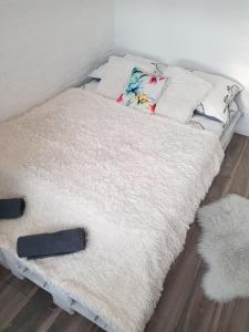 Apartament Kolorów
