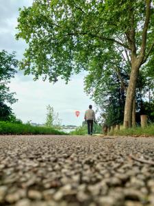 Maisons d'hotes Le Huis Clos : photos des chambres