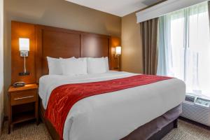 King Suite - Non-Smoking room in Comfort Suites North Knoxville