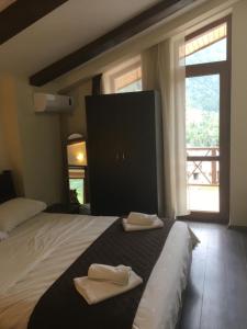 Hotel Victoria-Panorama