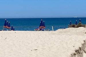 Arboria Sun & Sea img1