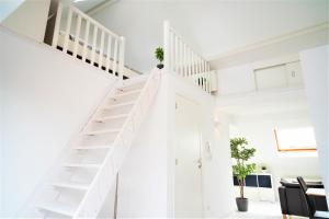 Beautiful Terrace Apartment in the Heart of Antwerp