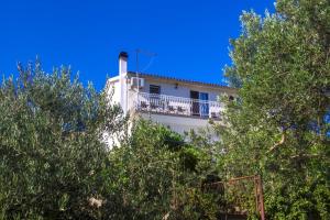 Apartman Belakušić 1 