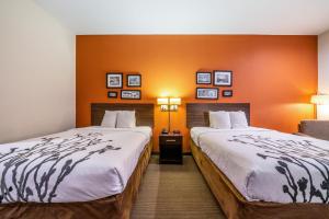 Queen Room with Two Queen Beds - Accessible/Non-Smoking  room in Restwell Inn & Suites I-45 North