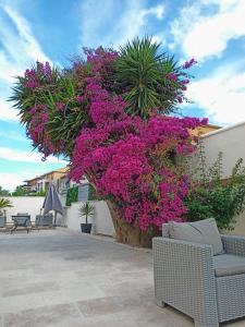 Appartements Villadali-fr Appart Hotel TOULON Clim, Wifi, Terrasse, Cuisine Parking Gratuit : photos des chambres