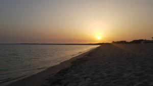 Residenza Bottego Pineta img44