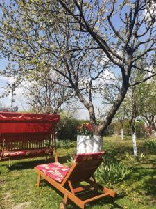 Árnyas Vendégház Hajdúszoboszló