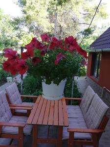 Árnyas Vendégház Hajdúszoboszló