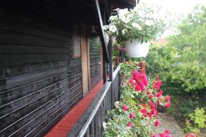 C Dor de Vama Bedrooms