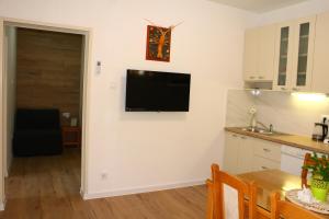 Apartment Teraferma 2