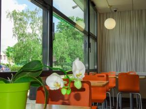 Hotels ibis budget Tours Nord : photos des chambres