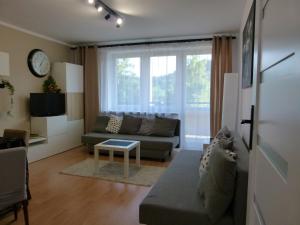 Apartament BB Czarny potok