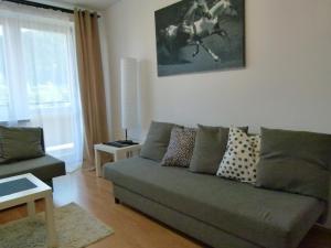 Apartament BB Czarny potok