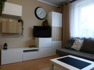 Apartament BB Czarny potok