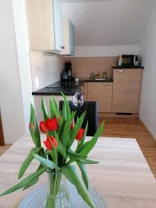 Apartment Bauer - Hintergöriach