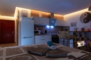 Appartements LE QUINTESSENCE: Balneo & Luminotherapie + parking : photos des chambres