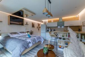 Appartements LE QUINTESSENCE: Balneo & Luminotherapie + parking : photos des chambres