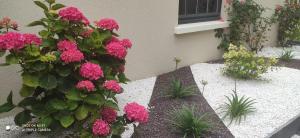 Maisons de vacances Le Ty Family : photos des chambres