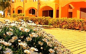 Residenze L'Isola Surf House img4