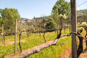 Charming House Fornos + Pool