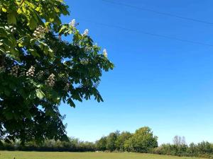 Great Sampford B&B Sorrells farm