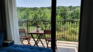 Sinevata apartament