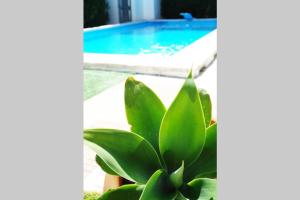 CampoParaíso Jaén-Casa Rural