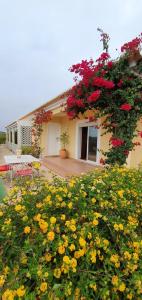Seaside Studio in Sagres - 38 sqm with Terrace and Garden
