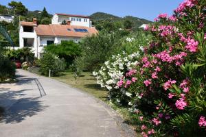 Apartmani Zdenka 
