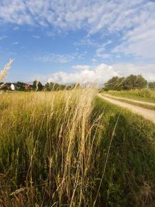 Domek na Podlasiu