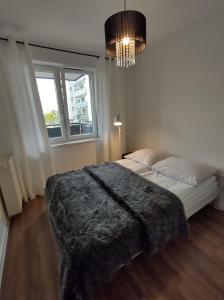 Apartament - malowniczy Augustów