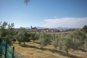 Es Flavo - Family only