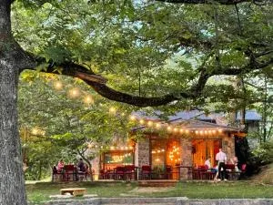 Baresha Agroturizem - Kishʼ e Shkrelit