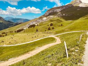 Chalets LE BLANC NORDIQUE : photos des chambres