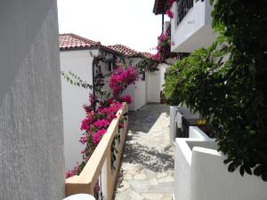 Yalis Hotel Alonissos Greece