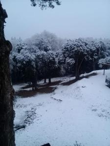 Departamento Cerro Negro