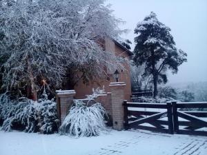 Departamento Cerro Negro