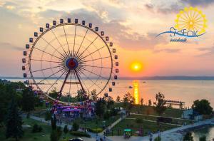 Apartment in Siofok - Balaton 39540