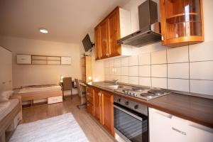 MARIBOR CITY CENTER MINIDORM APARTMENT