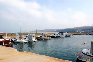 Apartment in Cizici - Insel Krk 12512 