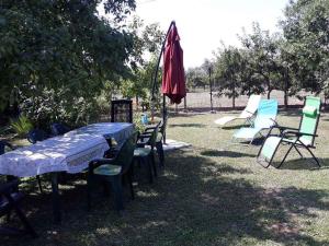 Holiday home in Revfülöp - Balaton 36498