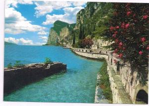 Apartment in Tremosine - Gardasee 22253