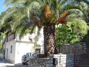 Apartments in Mali Losinj 14951