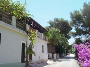 Apartments in Mali Losinj 14951