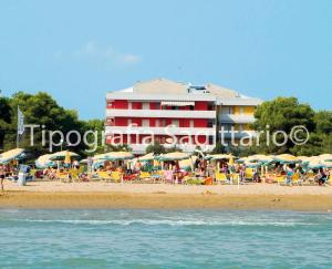 Apartments in Bibione 24559