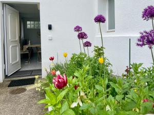 Studio in Stadtnähe Zürich mit guter Verkehrsanbindung