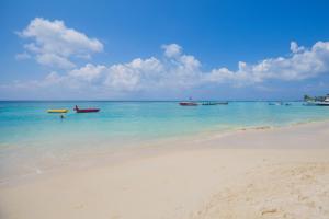 Coral Sands #6 condo